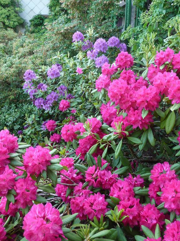 Bed and Breakfast Gastehaus Zum Tulpenbaum Turbenthal Екстер'єр фото