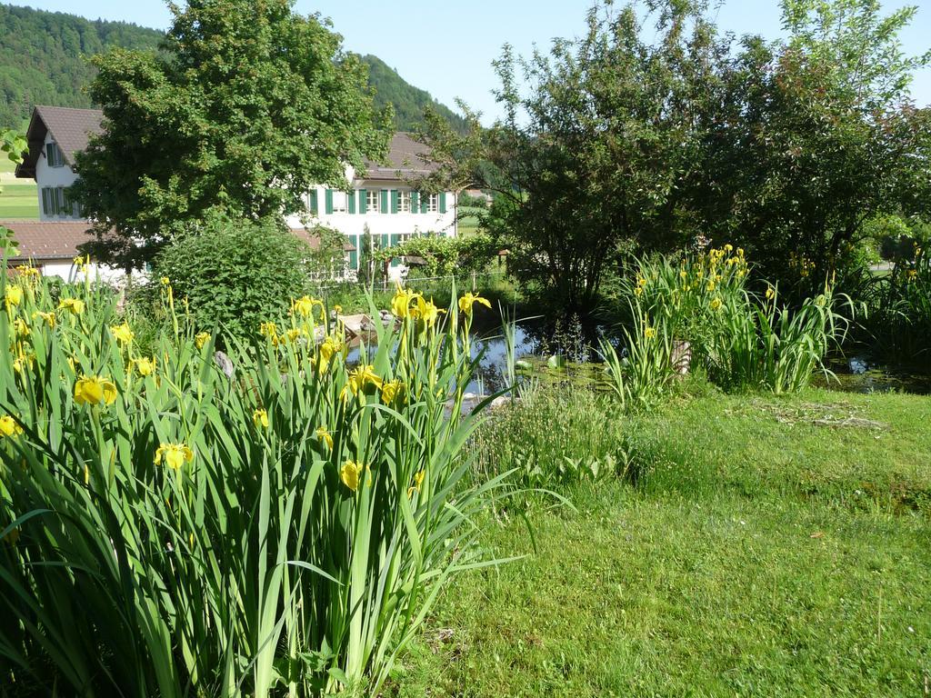 Bed and Breakfast Gastehaus Zum Tulpenbaum Turbenthal Екстер'єр фото